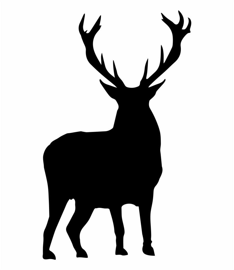 And Svg Deer Stag Deer Silhouette