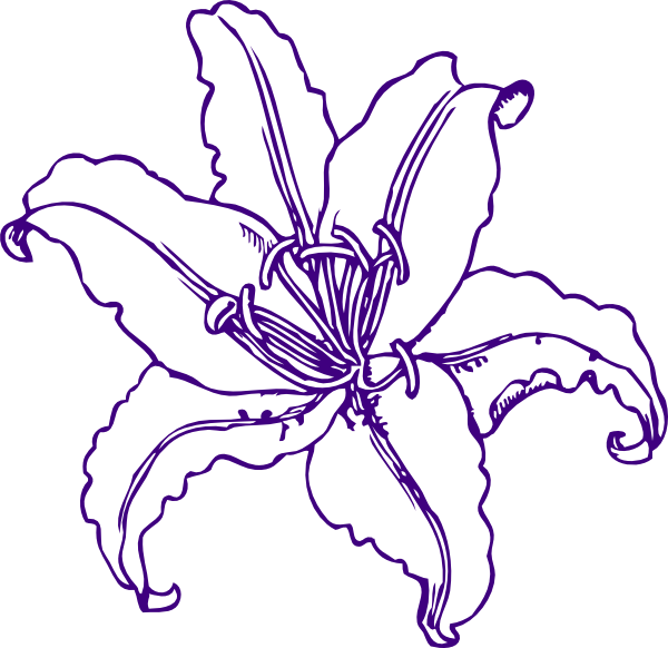 Purple Lilly Clip Art Clipart Lily