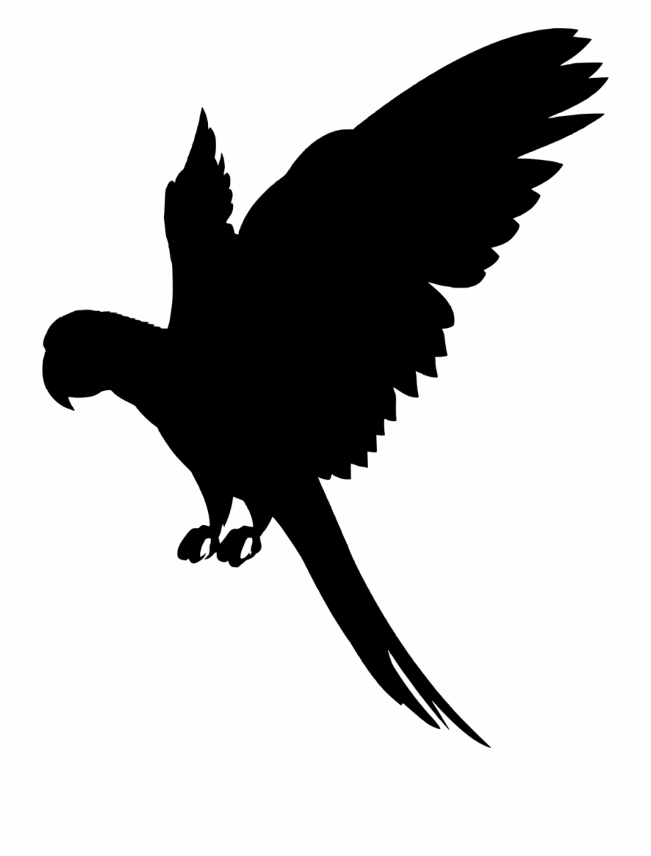 flying parrot silhouette
