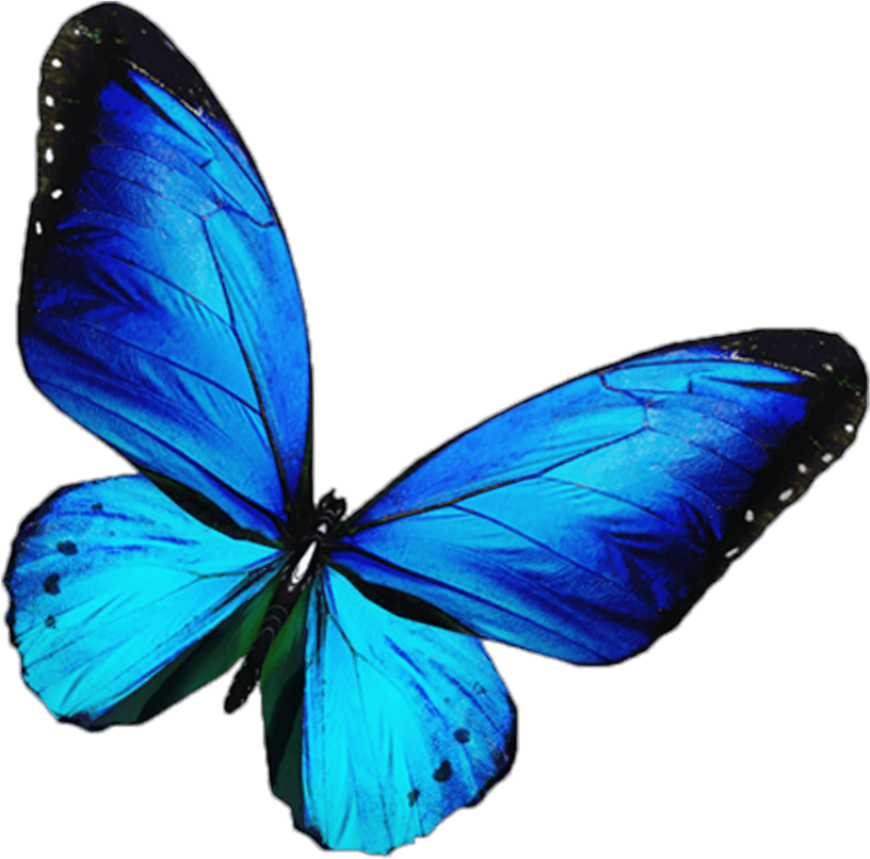 Blue Light Butterfly Png Hd