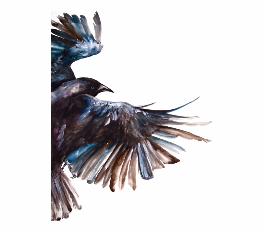 Clipart Freeuse Download Common Raven Bird Painting Watercolor