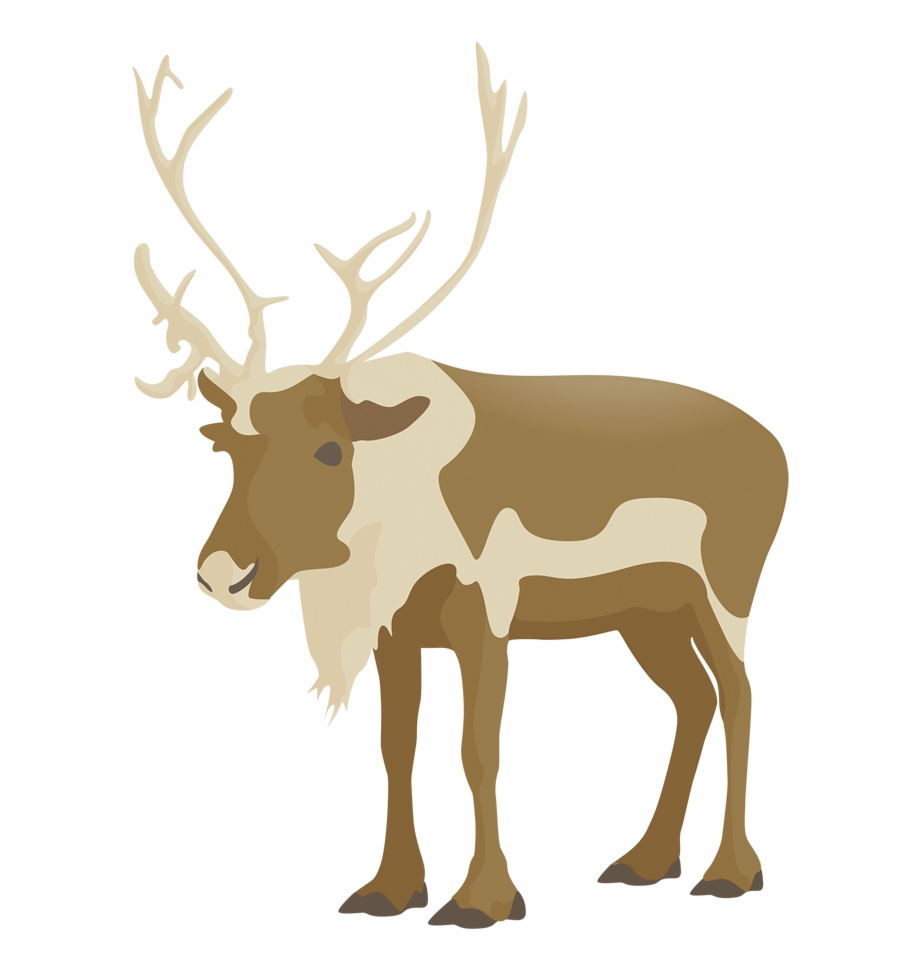 Flat Deer Vector Elk