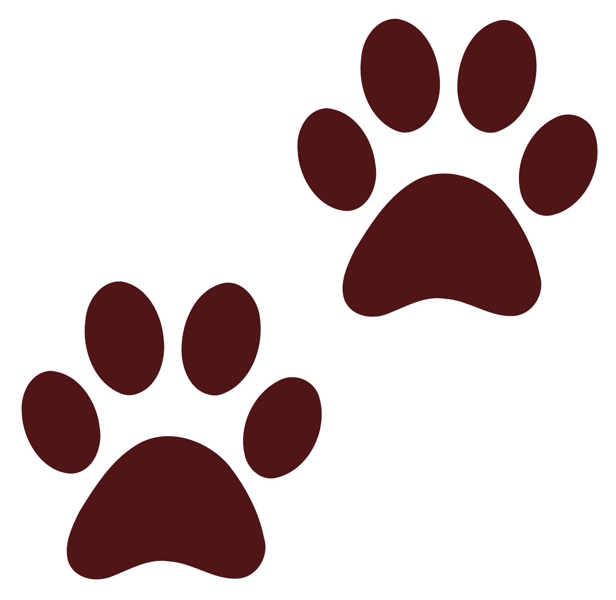 Cat Paw Print Png