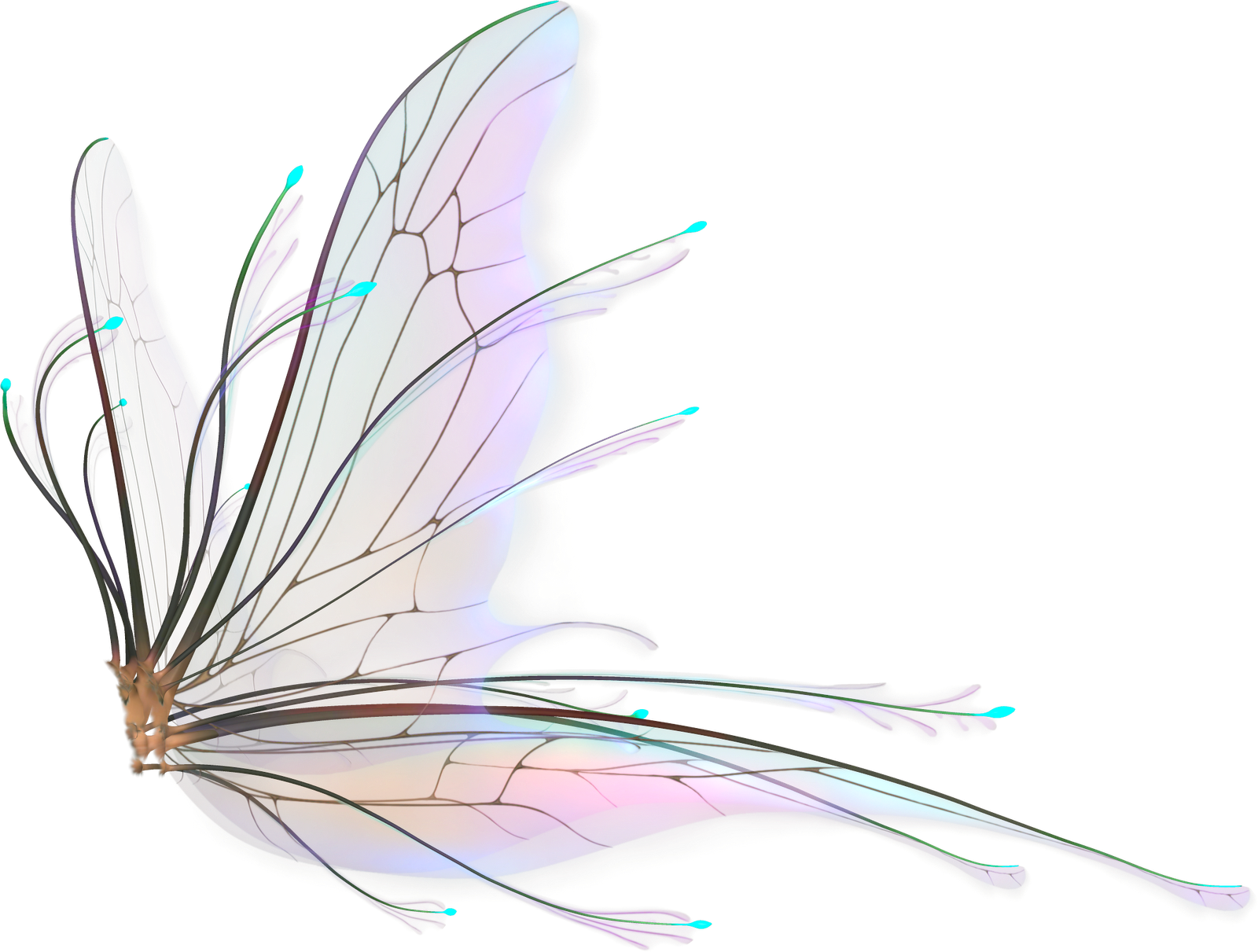 Realistic Fairy Wings Png Png Image Collection Images and Photos finder