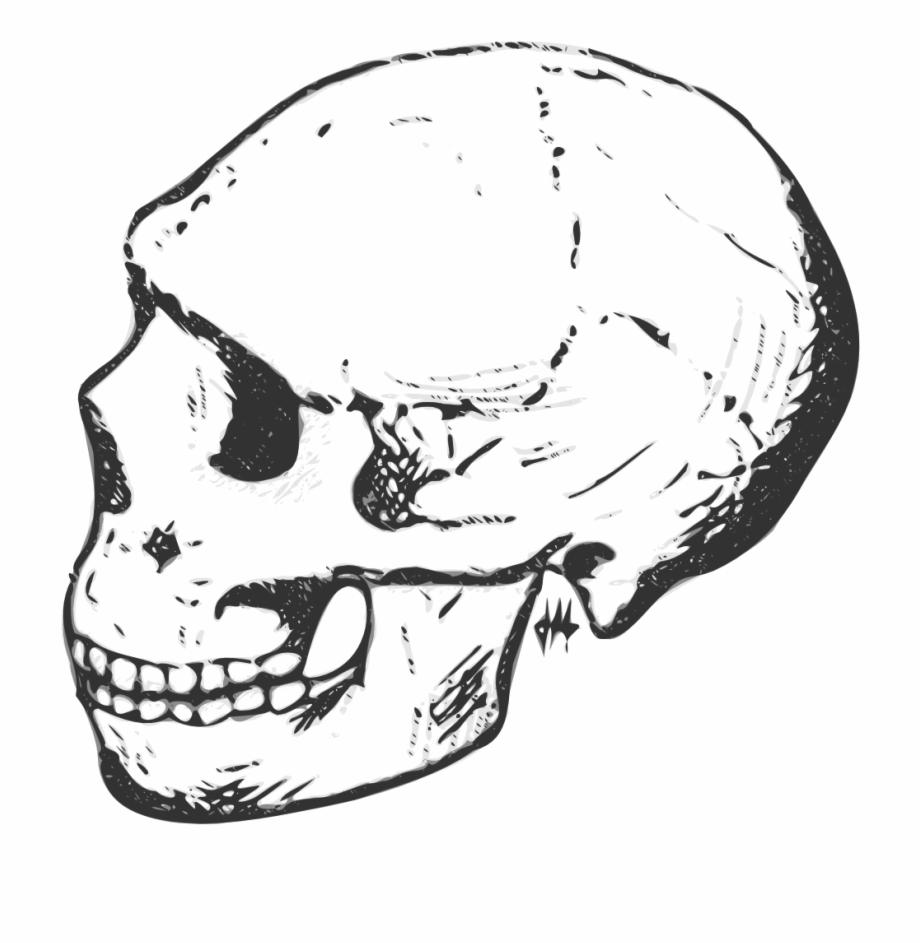 human skull clipart black and white
