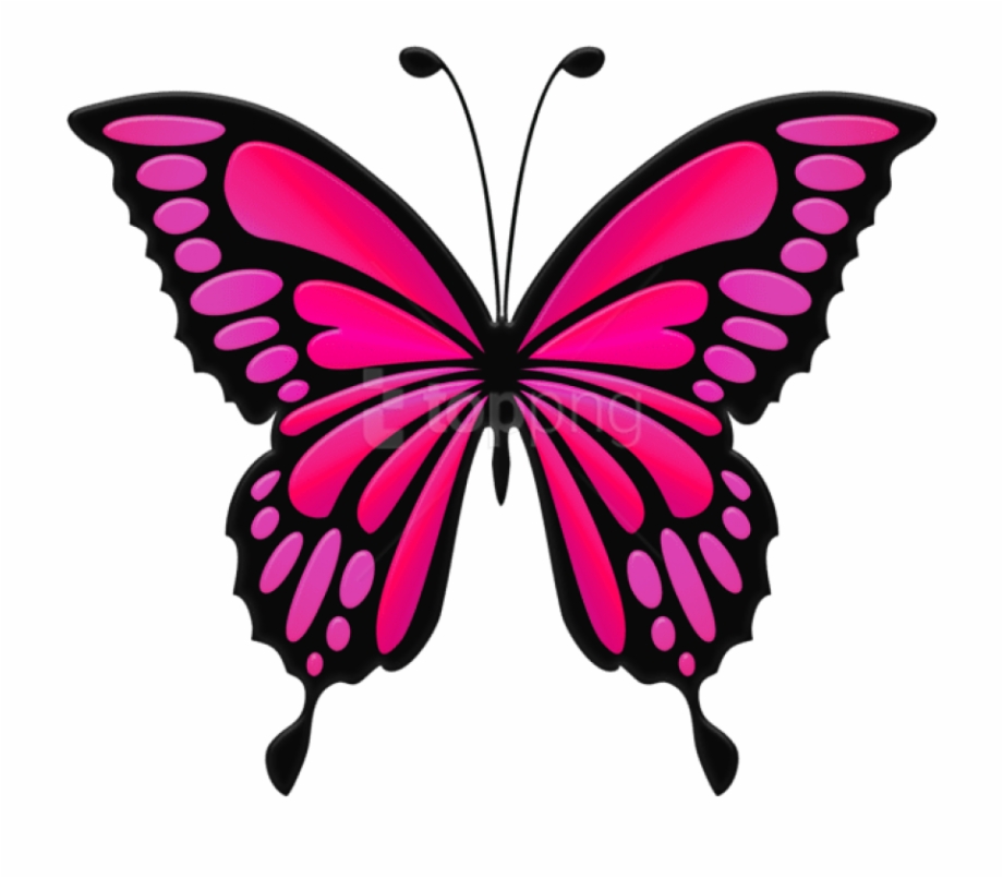 Butterfly Png Clipart Transparent Background Green Butterfly Clipart