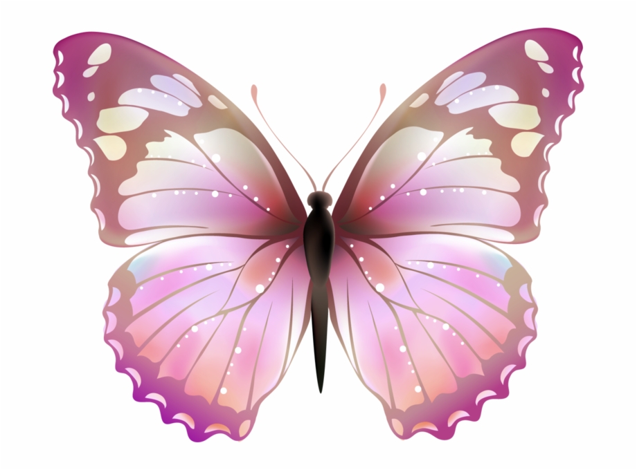 Collection of Pink Butterfly Png (23) .