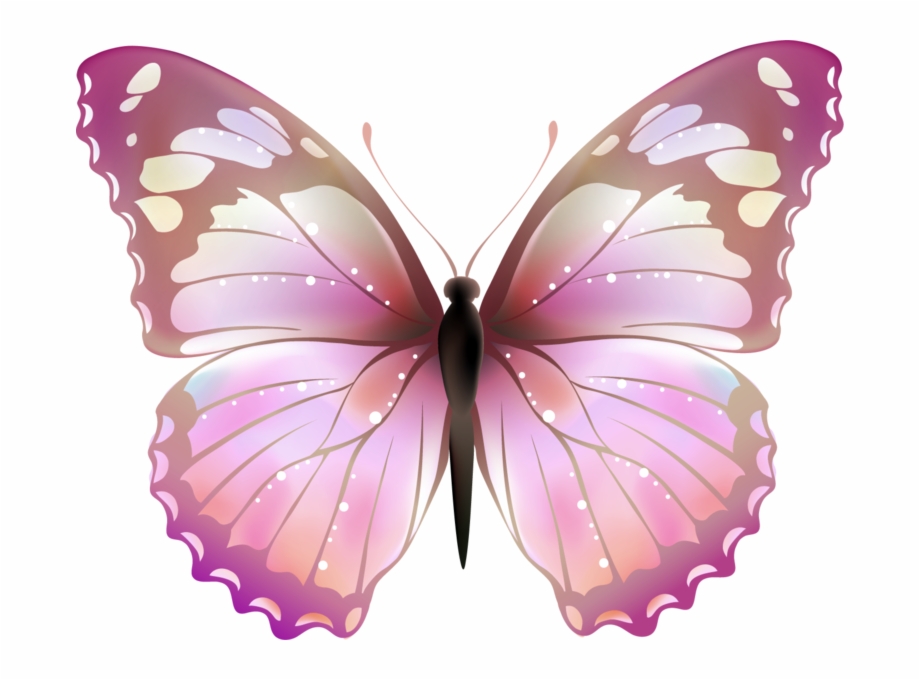 Free Pink Butterfly Png, Download Free Pink Butterfly Png png images