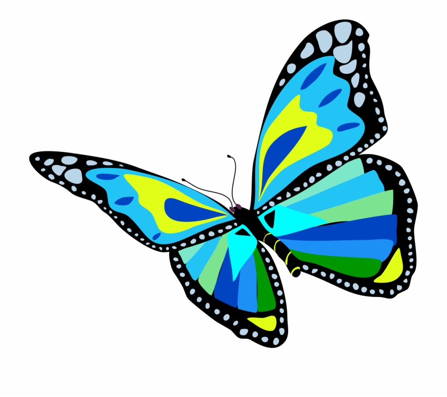 Transparent Blue Butterfly Png Clipart Gallery Yopriceville Blue
