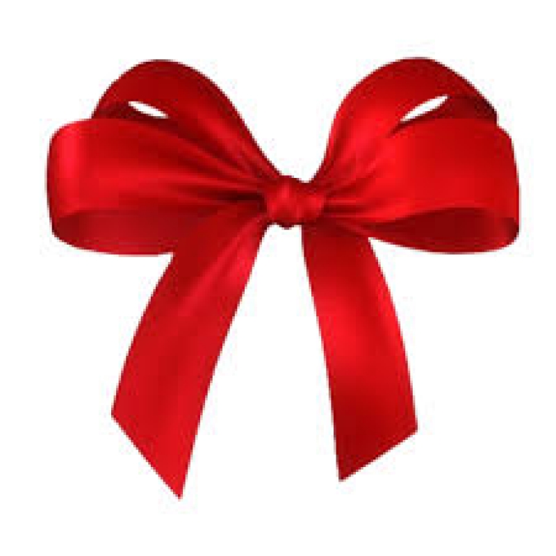 Holiday Bow Png