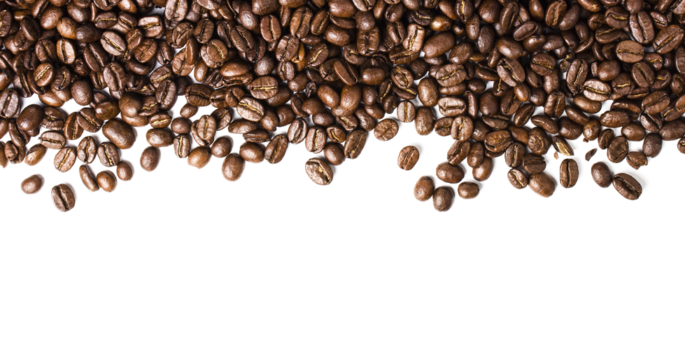Coffee Bean Vector Png