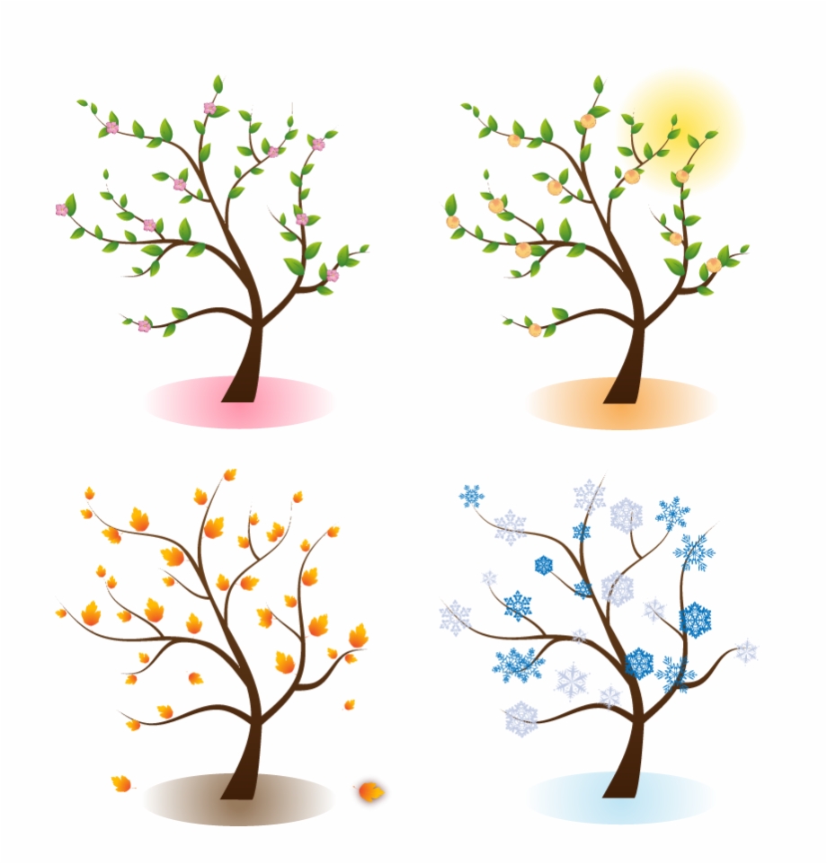 four seasons clipart png.