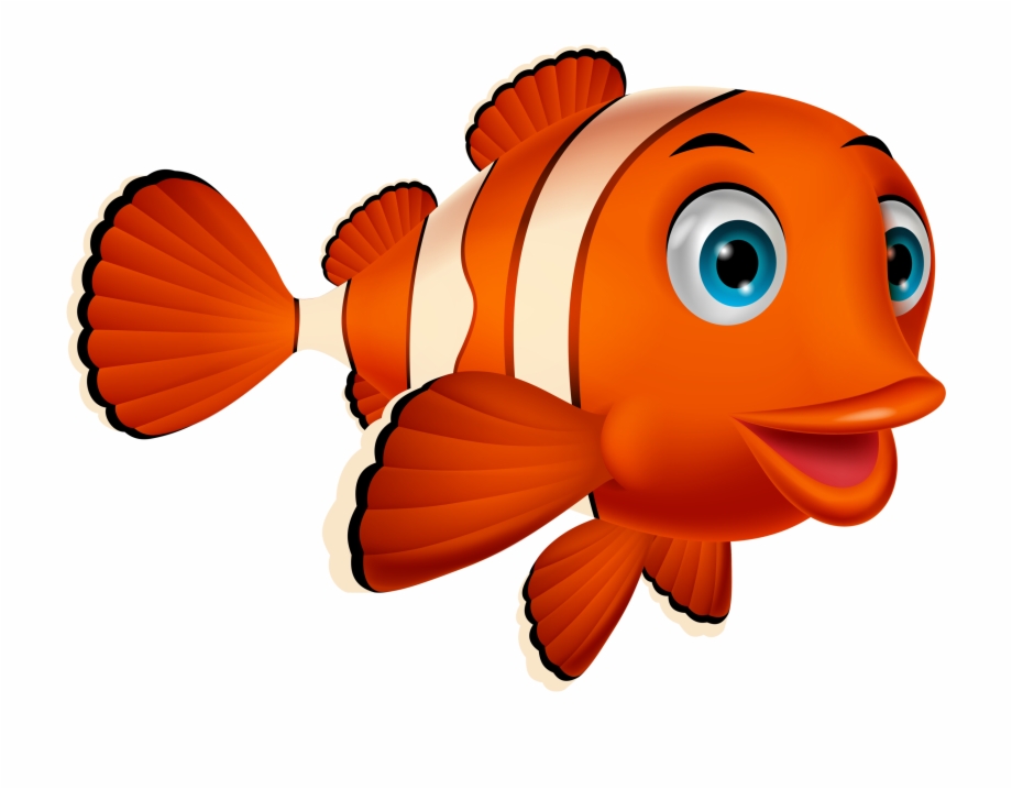 Png Fish And Album Clown Fish Cartoon