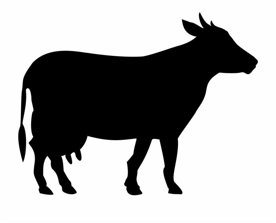 black cow vector png
