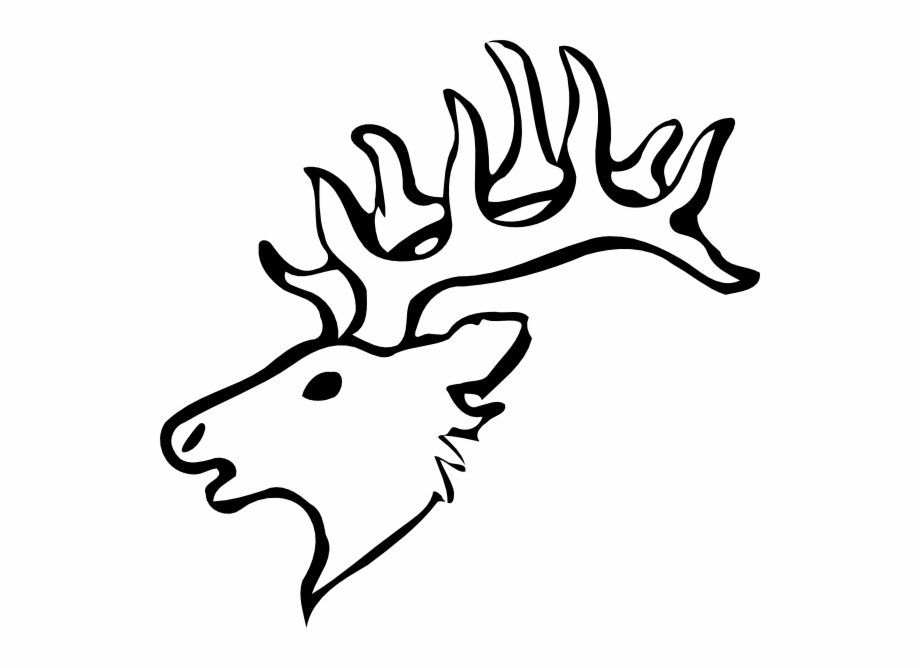 Easy Elk Head Drawing