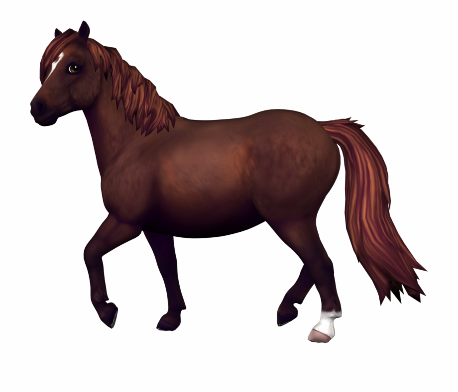 Fjord Horse Star Stable Transparent Horse