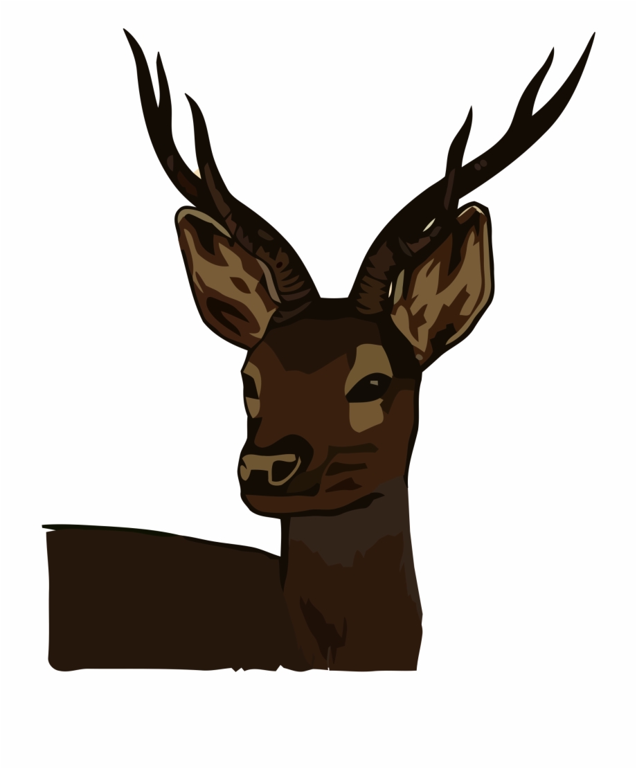 1528966199 Deer Head Clipart Roe Deer