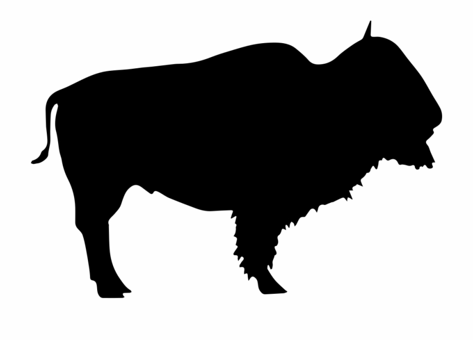buffalo svg free
