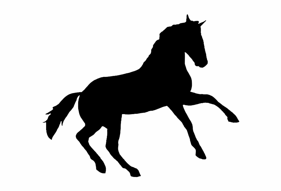 Printable Horse Silhouette Appaloosa Horse Clipart Art