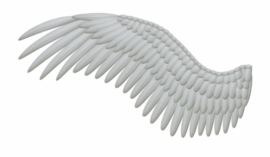 Download Wings Png Hd 488 Angel Wing Png
