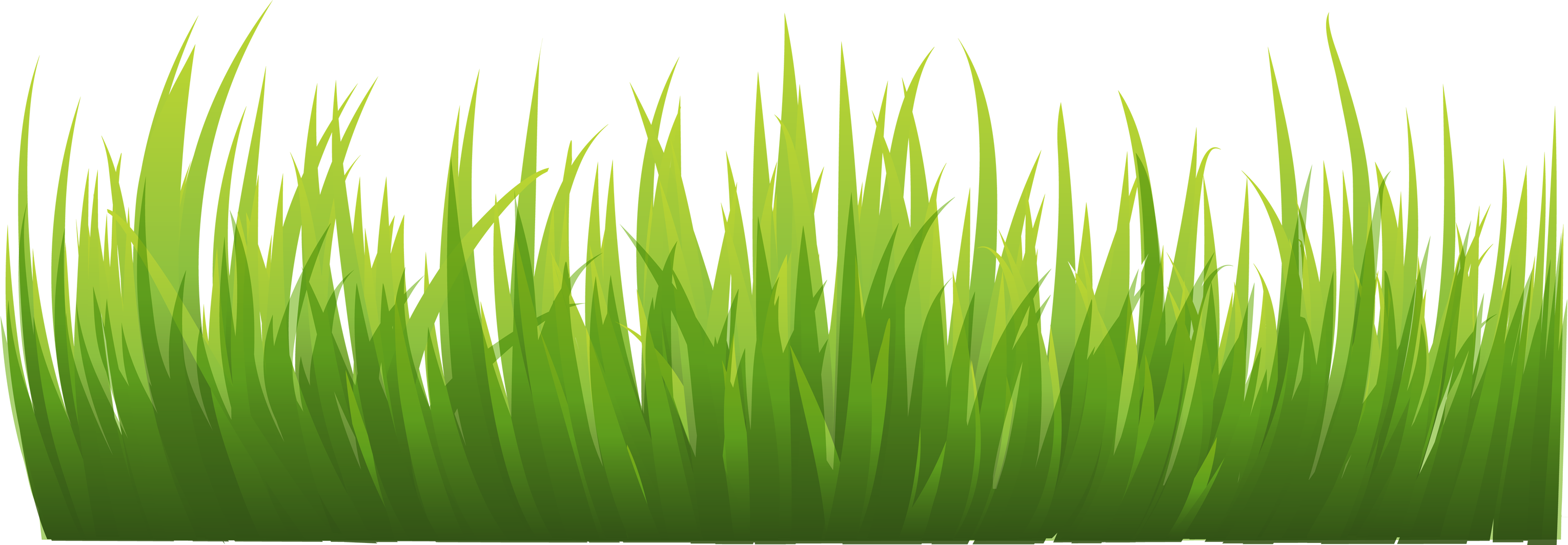 Free Grass Png Transparent Download Free Grass Png Transparent Png Images Free Cliparts On Clipart Library