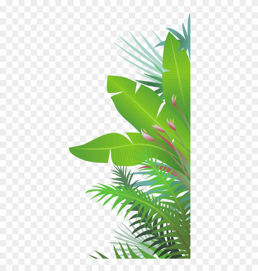 Jungle Leaves Png
