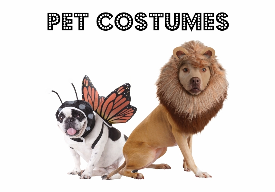 Dogs In Animal Costumes