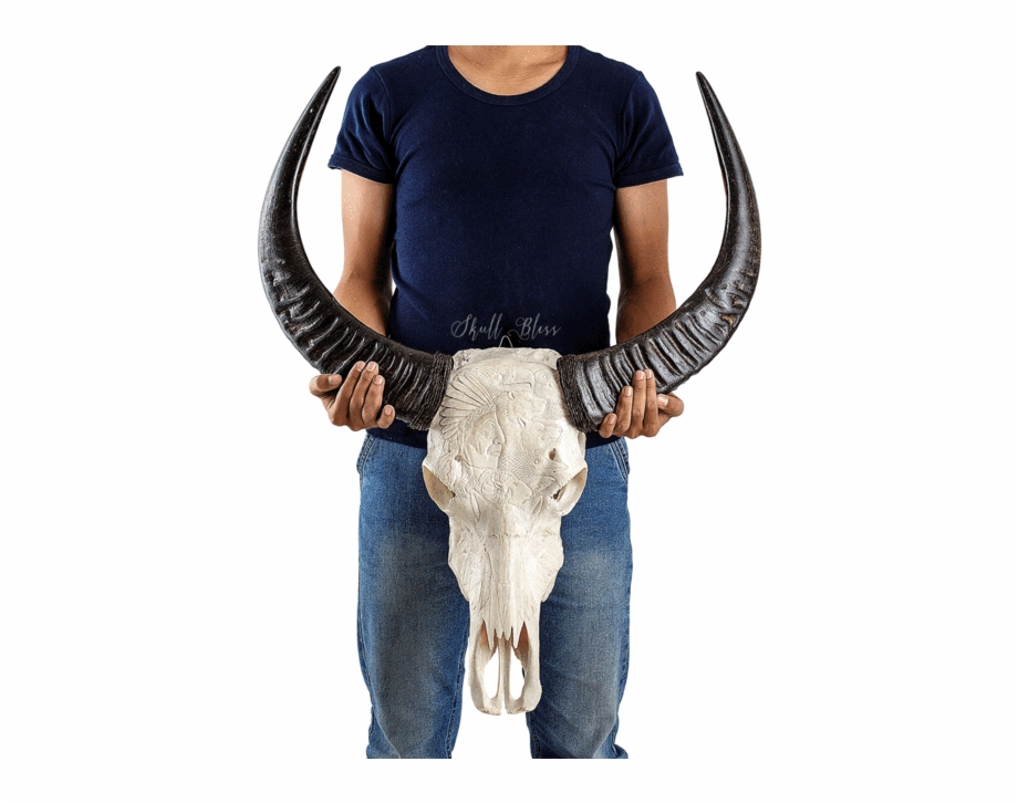Carved Buffalo Skull Horn