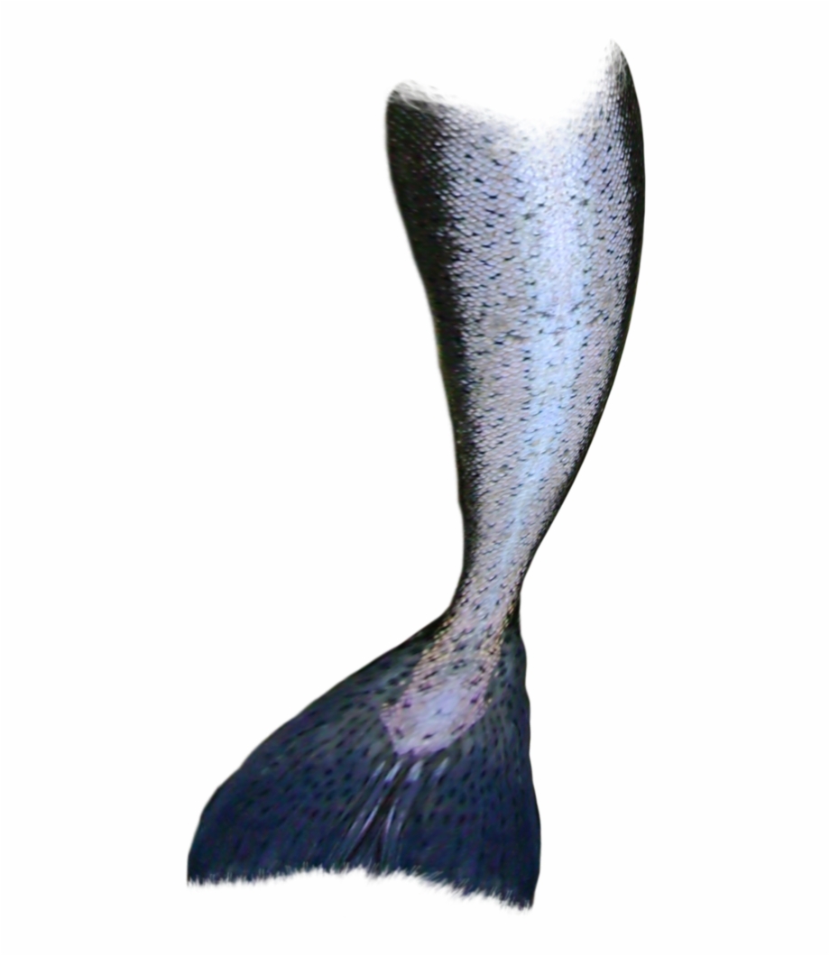 Mermaid Tail On Transparent Background