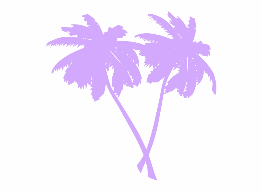 Transparent Palm Tree Vector