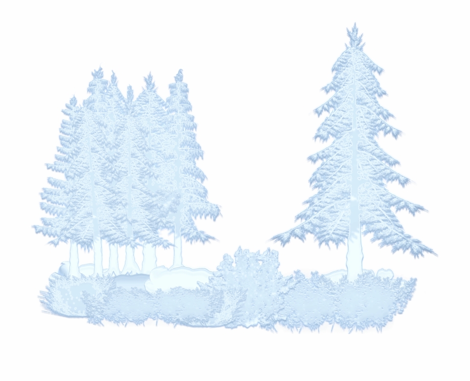 Winter Snow Trees Forest Png Image Arvores Com