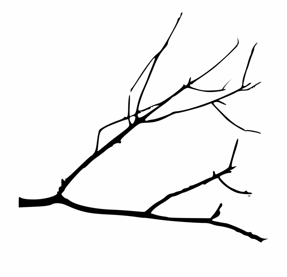 Free Download Simple Tree Branch Drawing
