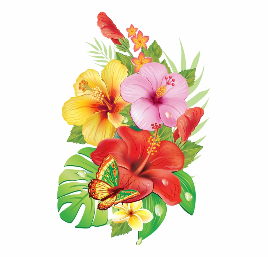 hawaiian tropical flowers png
