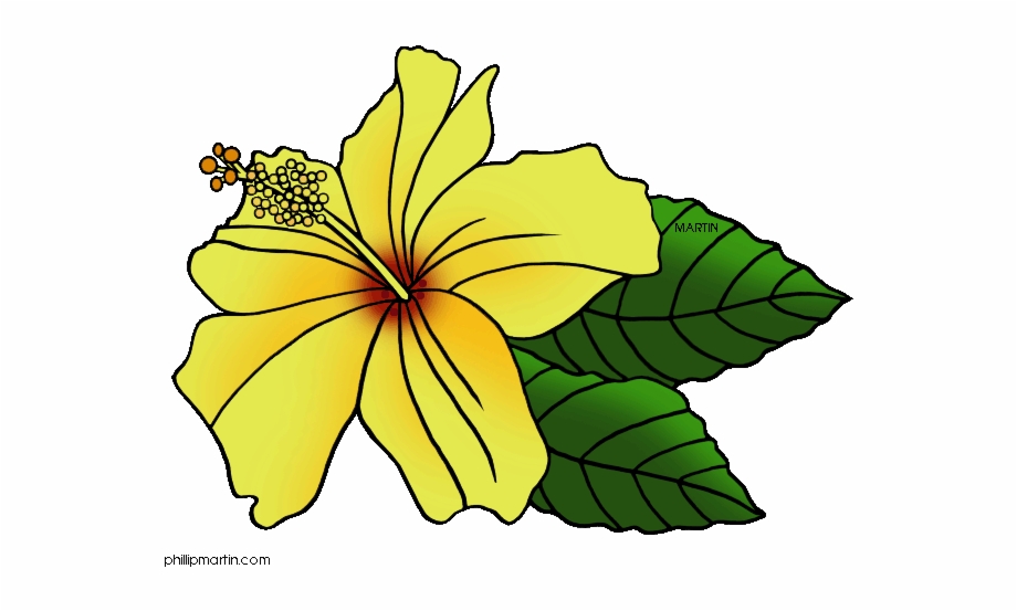 Yellow Flower Png Banner Hawaii Hawaiian Clipart