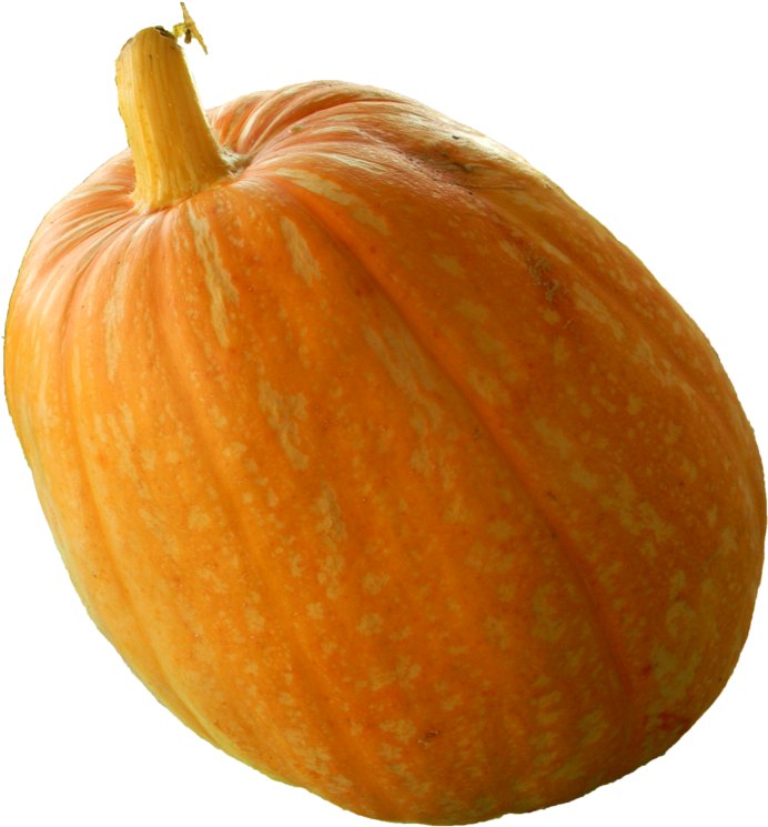 Download Real Pumpkin Png Transparent Image Gourd