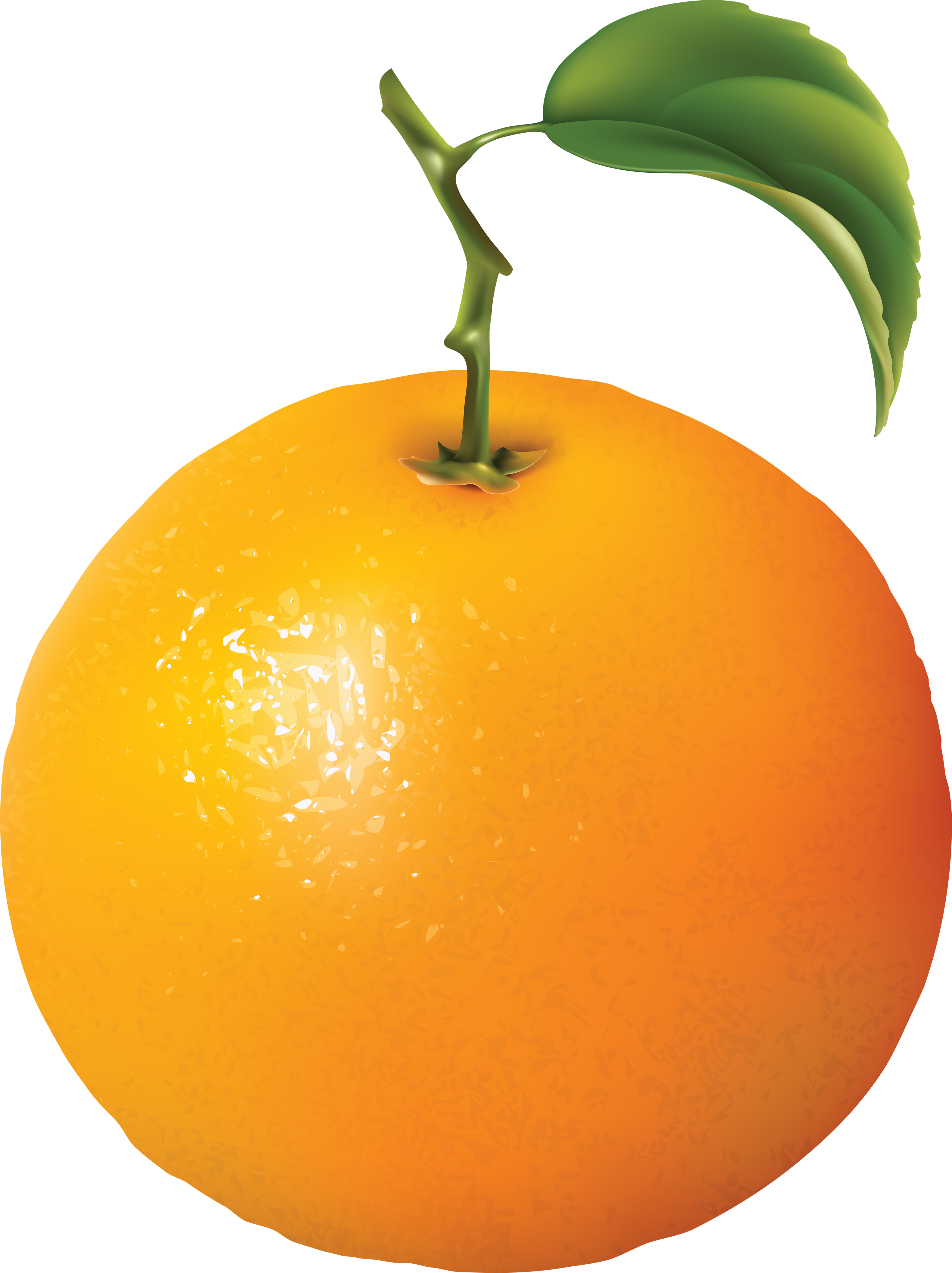 Orange Png Image Fruit Images In Png Format