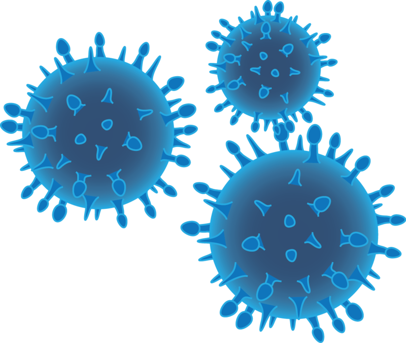 Bacteria Png Download Png Image With Transparent Background
