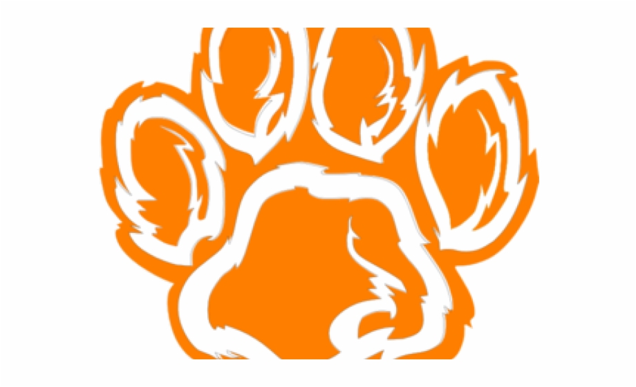 Mt Si Wildcats Logo