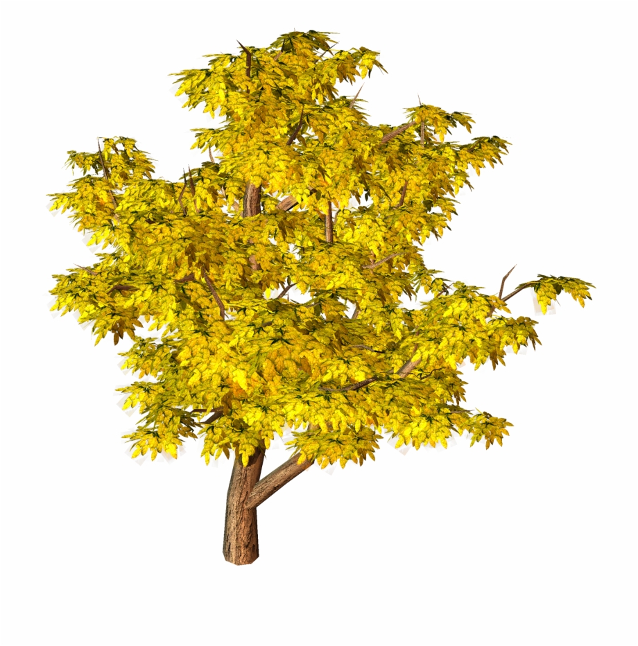 Yellow Fall Tree Clipart Tree Png Hd Background