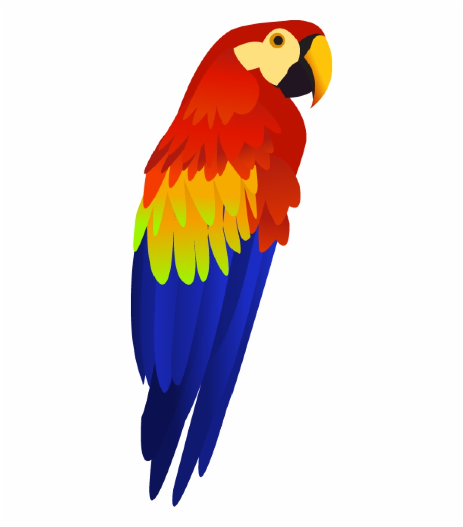 Colorful Parrot Png Images Free Download Download Transparent
