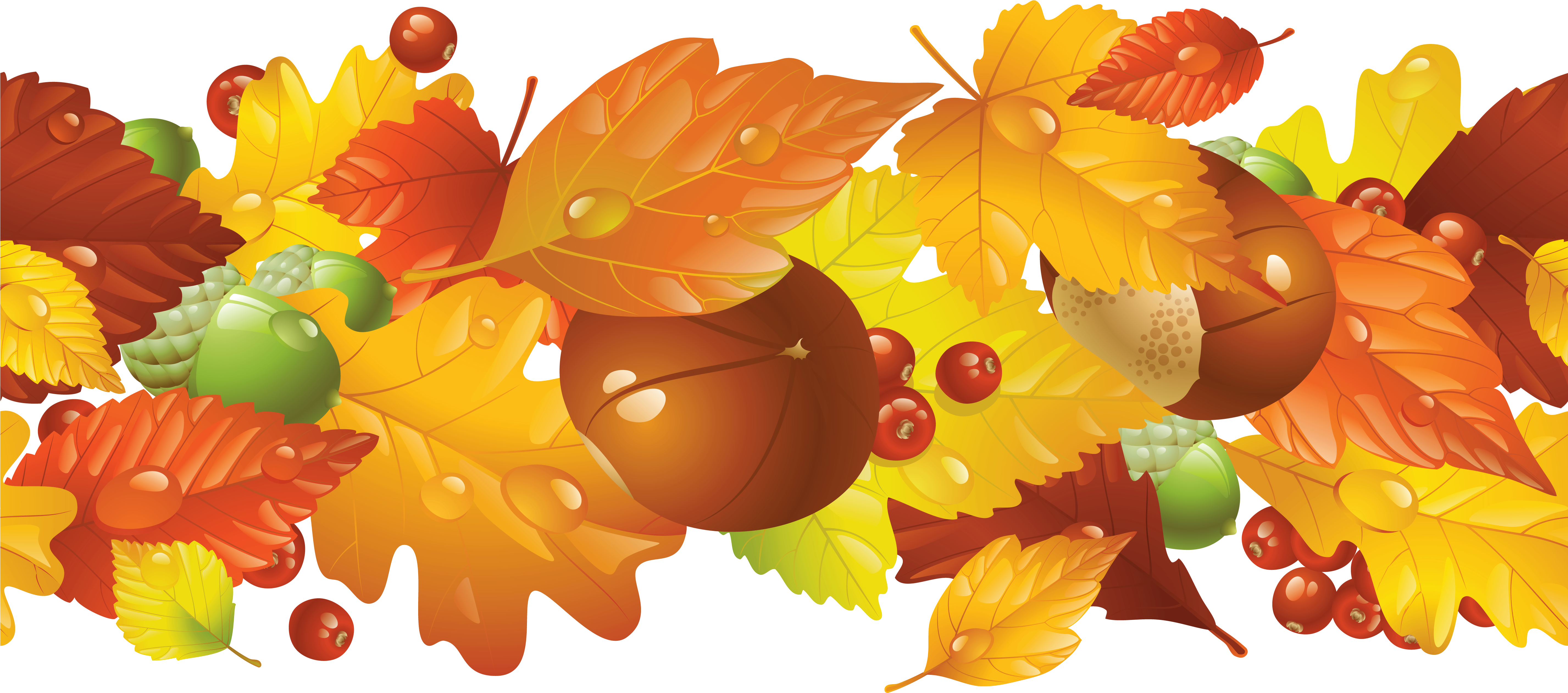 Thanksgiving Leaves Border Png Autumn Leaves Borders Png