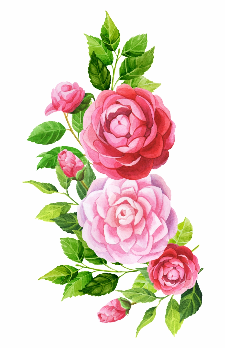 Hand Painted Pink Flower Png Transparent