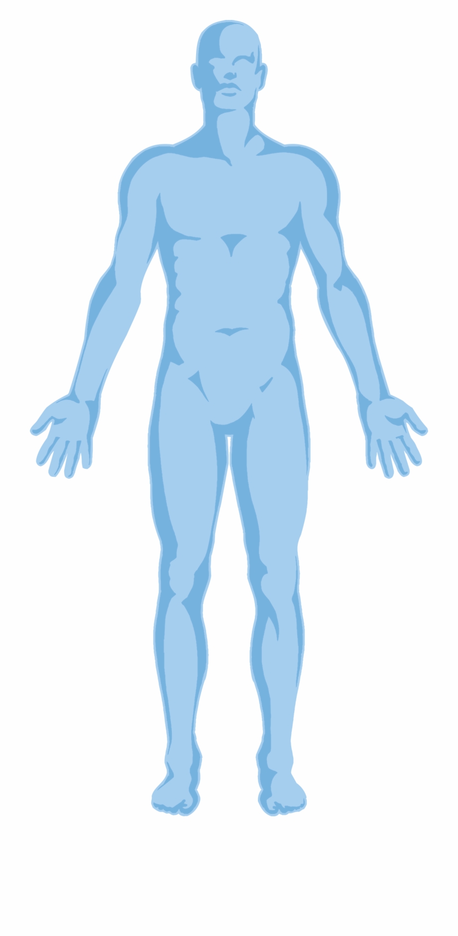 Body Body Outline Transparent Background