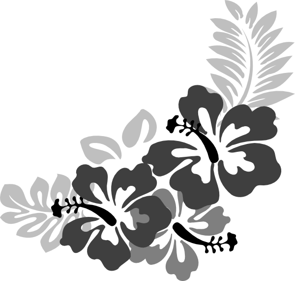 Free Hibiscus Flower Clipart Black And White Download Free Clip Art Free Clip Art On Clipart Library Use these free hibiscus black and white png for your personal projects or designs. clipart library