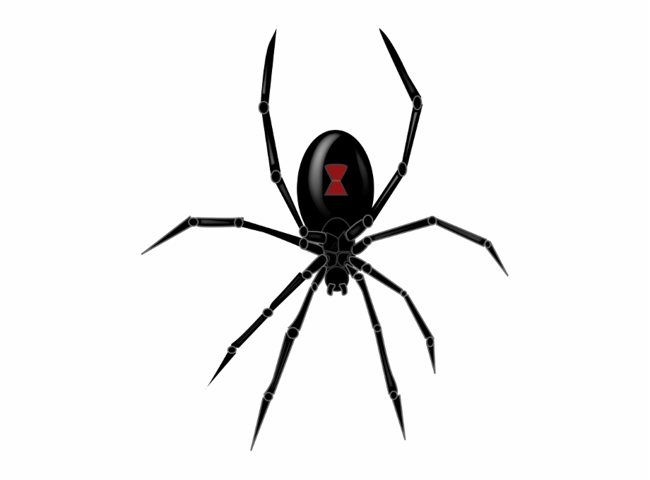 black widow spider marvel
