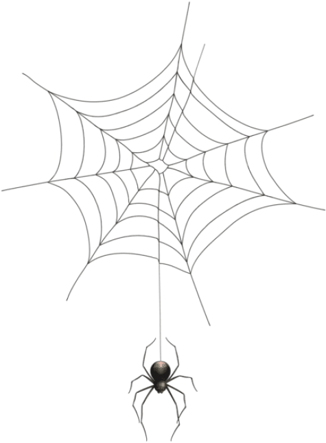 Download Spider And Transparent Spider Web Transparent Background
