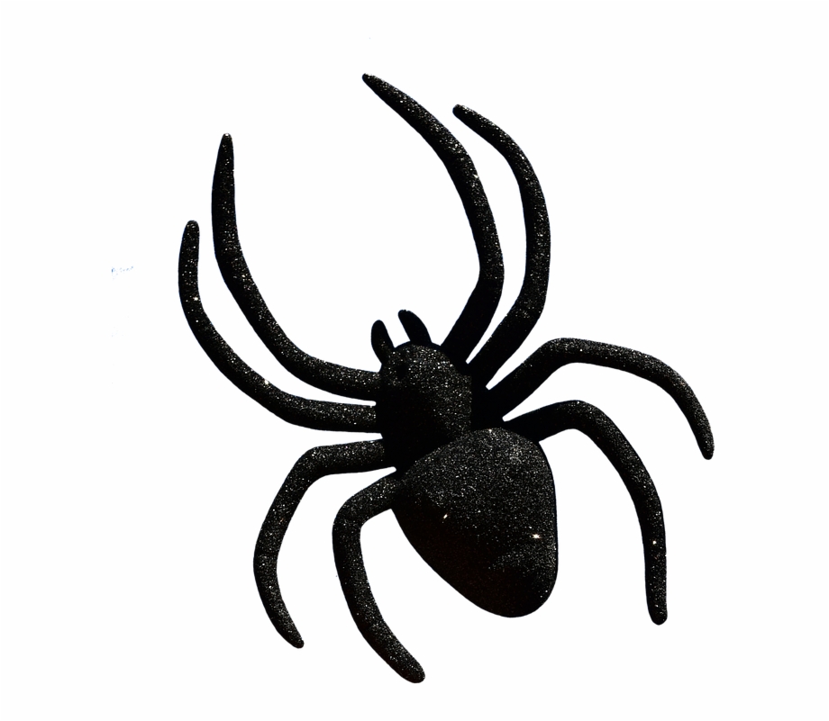 Black Spider Png Picture 