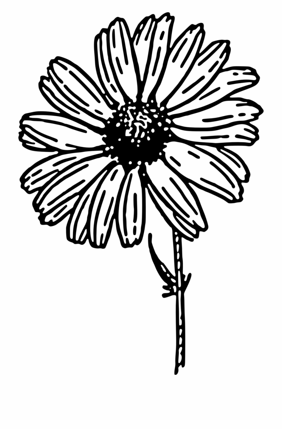 Onlinelabels Clip Art Daisy Black And White Clipart