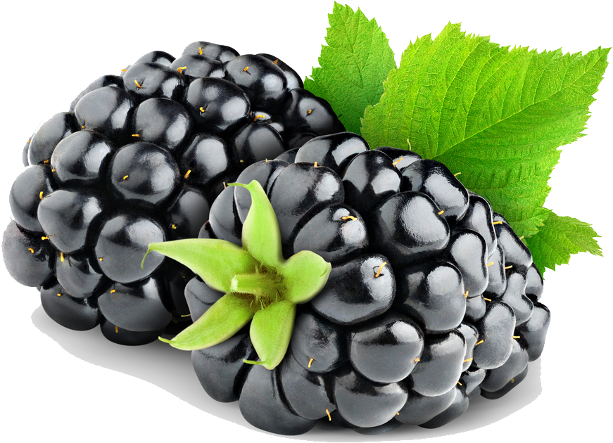 Blackberry Fruit Png Hd Fruits Png