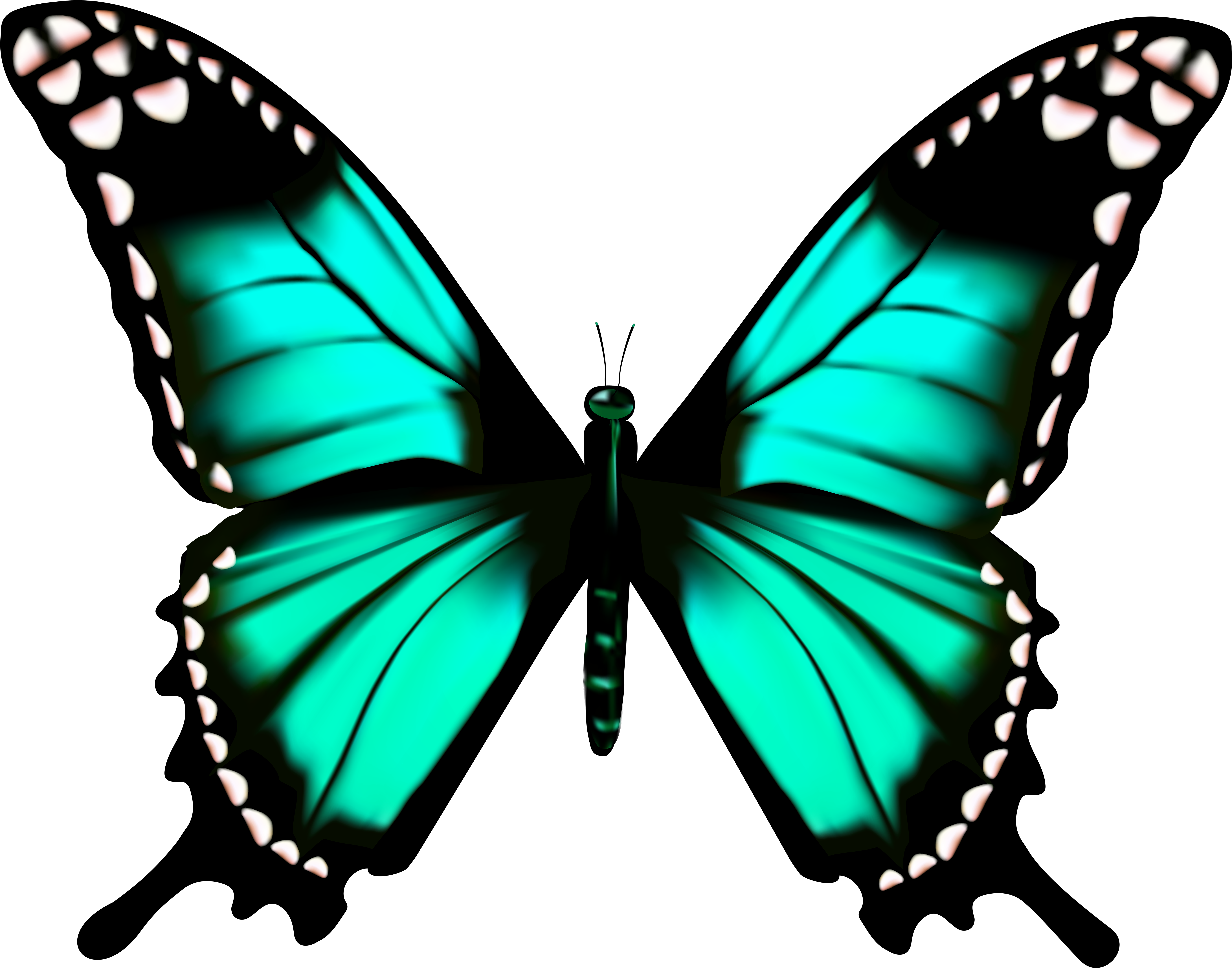 Galaxy Clipart Transparent Clip Art Transparent Butterfly